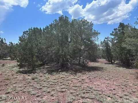 1462 E Barbara Rd, Williams, AZ 86046 photo 9