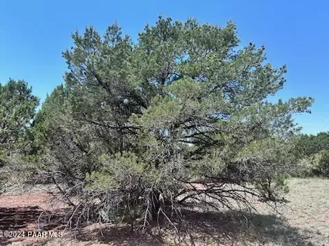 1462 E Barbara Rd, Williams, AZ 86046 photo 3
