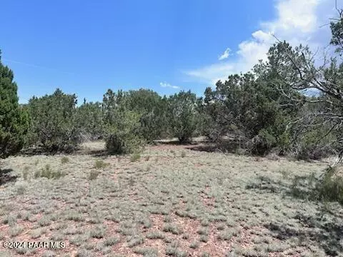 1462 E Barbara Rd, Williams, AZ 86046 photo 4