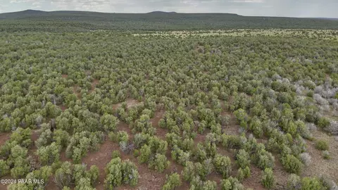 11189 Huckleberry Rd, Ash Fork, AZ 86320 photo 13