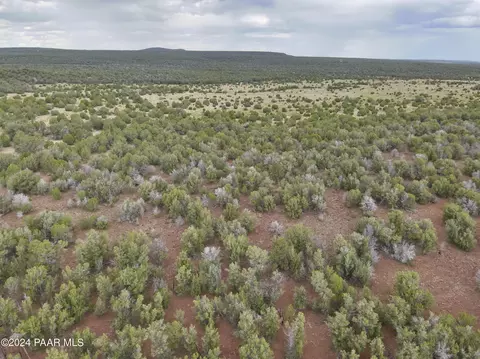 11189 Huckleberry Rd, Ash Fork, AZ 86320 photo 11