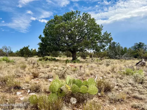 55572 N Bridge Canyon Pkwy, Seligman, AZ 86337