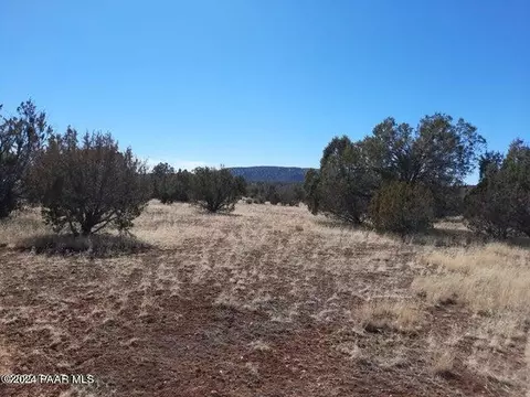1651 W Forest Ln, Seligman, AZ 86337