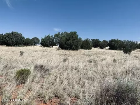 340 SE Dusty Rose Rd, Seligman, AZ 86337