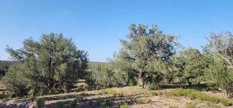 2399 W Rattlesnake, Ash Fork, AZ 86320 photo 5