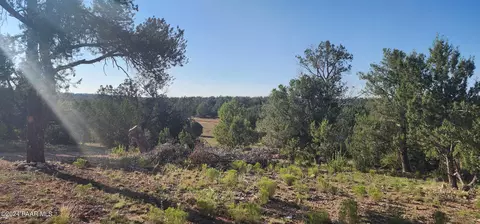 2399 W Rattlesnake, Ash Fork, AZ 86320 photo 2