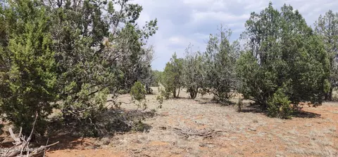 824 Spencers Run, Ash Fork, AZ 86046 photo 8