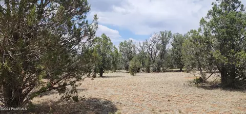 824 Spencers Run, Ash Fork, AZ 86046 photo 13
