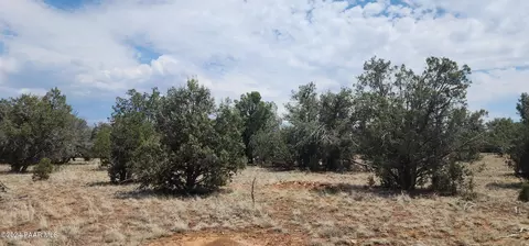824 Spencers Run, Ash Fork, AZ 86046 photo 3