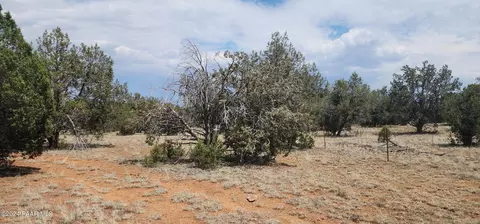 824 Spencers Run, Ash Fork, AZ 86046 photo 9
