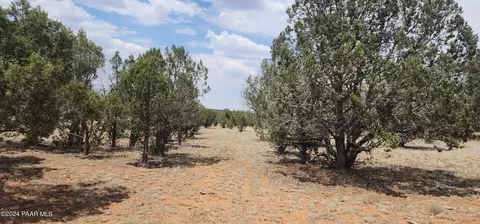 824 Spencers Run, Ash Fork, AZ 86046 photo 12