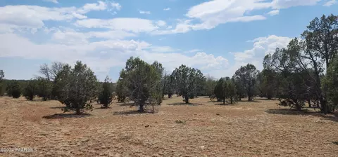 824 Spencers Run, Ash Fork, AZ 86046 photo 15