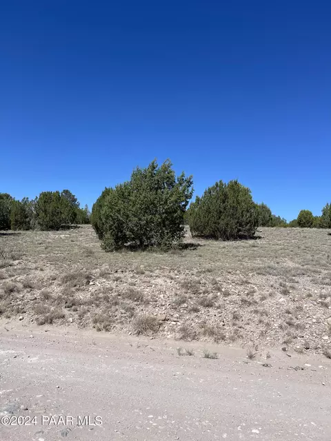 Ls43/31-36 N Anvil Rock Road, Seligman, AZ 86337
