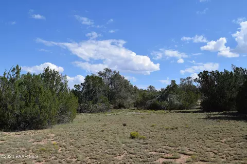 53570 Via De Oro Pkwy, Seligman, AZ 86337