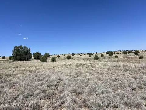61 Outback Rd, Ash Fork, AZ 86320 photo 4