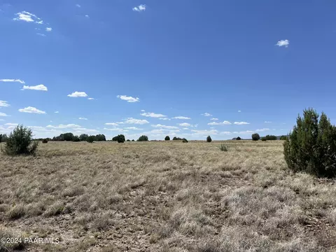 61 Outback Rd, Ash Fork, AZ 86320 photo 3