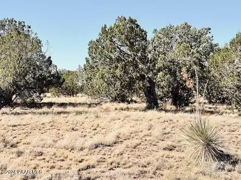296 NE Rocky Top Rd, Seligman, AZ 86337