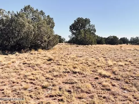 296 SE Rocky Top Rd, Seligman, AZ 86337