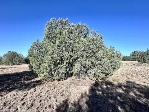 545 N Summer Rain Rd # A, Seligman, AZ 86337
