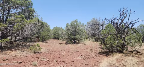 66 Camp Rd, Ash Fork, AZ 86320 photo 7