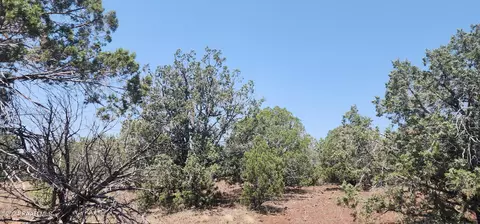 66 Camp Rd, Ash Fork, AZ 86320 photo 3