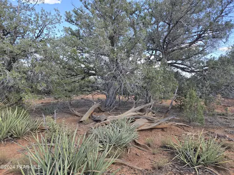 lot82 Howling Wolf, Ash Fork, AZ 86320 photo 21