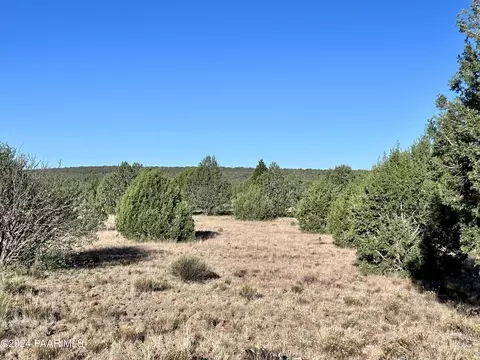 853 Cable Rd, Ash Fork, AZ 86320 photo 2