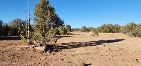 88 Rose Ln # -C, Ash Fork, AZ 86320 photo 10