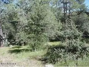 lot2 Hoover St, Prescott, AZ 86303