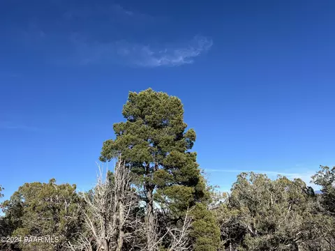 Ne 49 Norma Way, Ash Fork, AZ 86320 photo 3