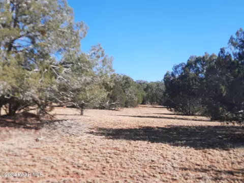 lot70 Deadtree Rd, Seligman, AZ 86337 photo 13