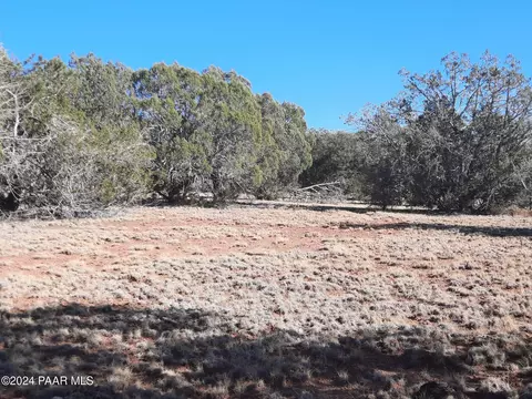 lot70 Deadtree Rd, Seligman, AZ 86337 photo 11