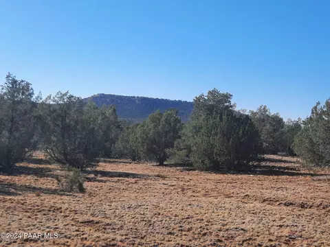 lot70 Deadtree Rd, Seligman, AZ 86337 photo 2