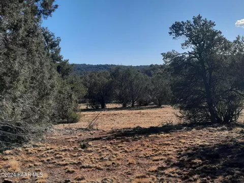 lot70 Deadtree Rd, Seligman, AZ 86337 photo 10
