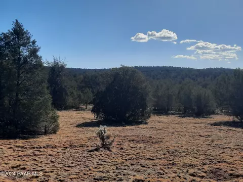 lot70 Deadtree Rd, Seligman, AZ 86337 photo 4