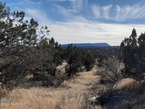lot4931 N Bridge Canyon Pkwy, Seligman, AZ 86337