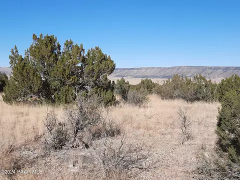 58573 N Calle Vaca, Seligman, AZ 86337