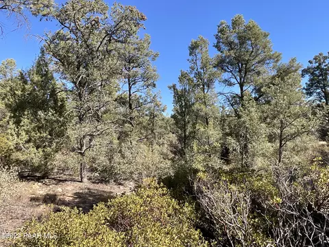 0 Middle Ridge Rd, Wilhoit, AZ 86332 photo 8