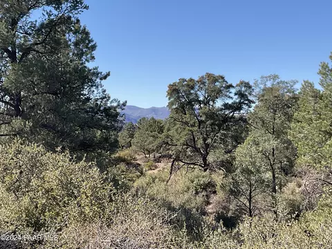 0 Middle Ridge Rd, Wilhoit, AZ 86332 photo 10