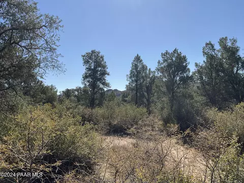 0 Middle Ridge Rd, Wilhoit, AZ 86332 photo 9