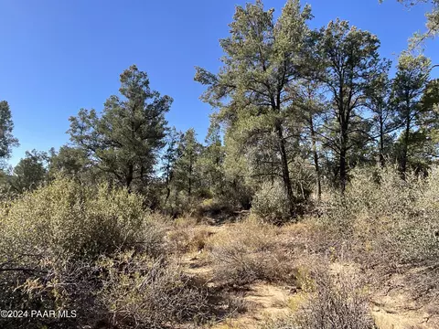 0 Middle Ridge Rd, Wilhoit, AZ 86332 photo 7
