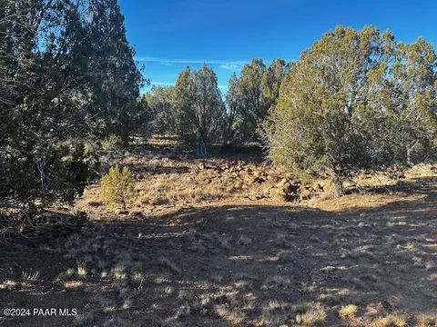 37916 W B W Howling Coyote Rd, Seligman, AZ 86337