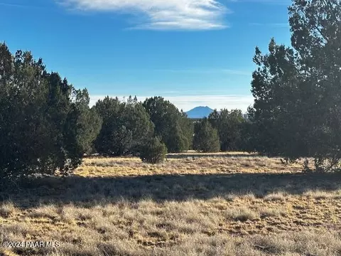 37916 W Howling Coyote Rd # -D, Seligman, AZ 86337