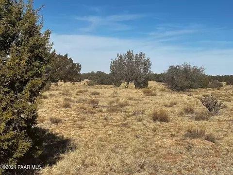 234 SE Brothers Rd, Seligman, AZ 86337