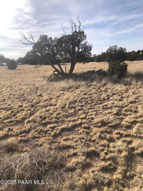 2120 N Forest Line Rd, Ash Fork, AZ 86320