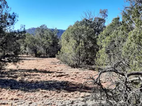 lot75 Forest Acres, Seligman, AZ 86337