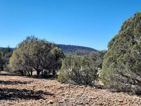 lot74 Forest Acres, Seligman, AZ 86337
