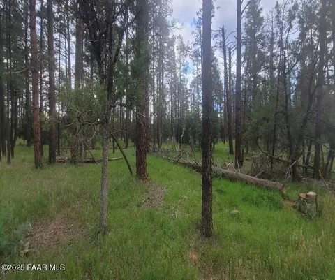 5363 Stilletto Dr, Pinetop-lakeside, AZ 85929