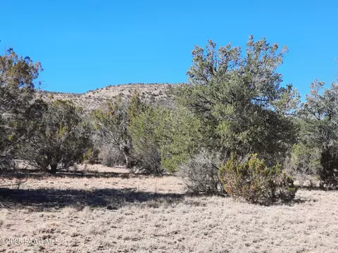 lot1496 Lion Canyon Dr, Seligman, AZ 86337