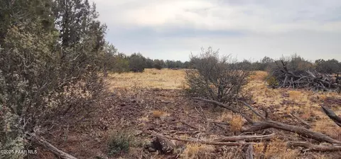 792 Westwood Rnch, Ash Fork, AZ 86320 photo 5